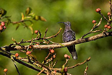 《刺客信条：英灵殿》新DLC宣传图偷跑 预计3月10日推出